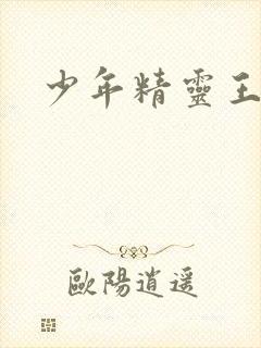 少年精灵王