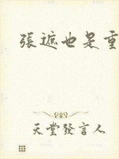 张遮也是重生吗封面