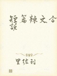 短篇辣文合集小说