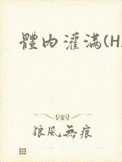 体内灌满(H)