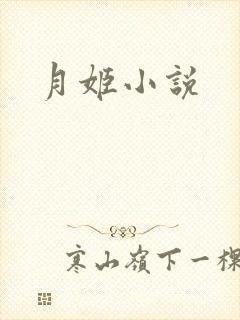 月姬小说封面