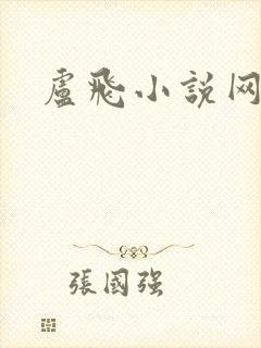 卢飞小说网封面