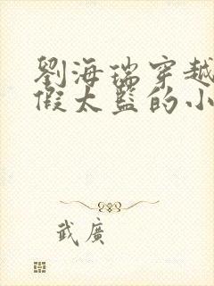 刘海瑞穿越后宫假太监的小说