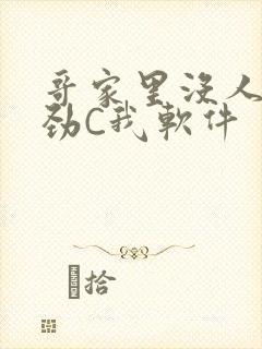 哥家里没人使点劲C我软件