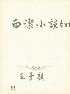 白洁小说txt