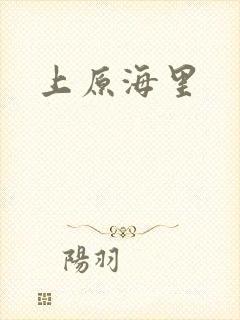 上原海里封面