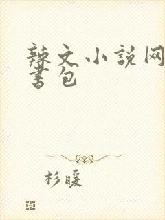 辣文小说网第二书包