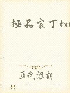 极品家丁txt封面