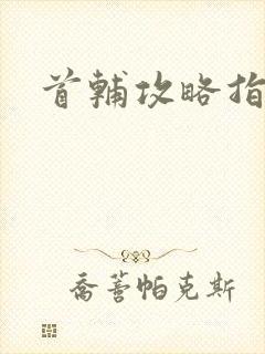 首辅攻略指南封面