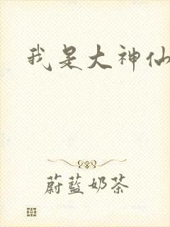 我是大神仙小说