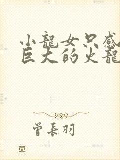 小龙女只感觉那巨大的火龙枪