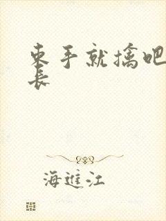 束手就擒吧韩队长