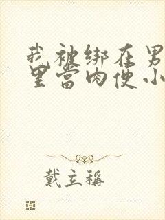 我被绑在男公厕里当肉便小说