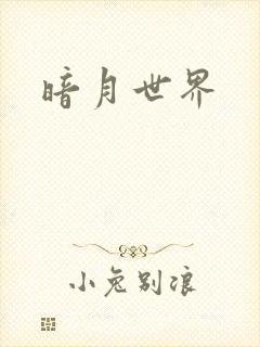 暗月世界