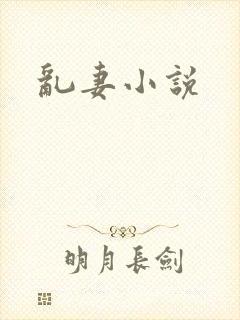 乱妻小说