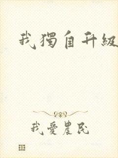 我独自升级漫画封面