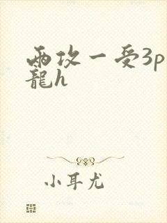 两攻一受3p双龙h封面