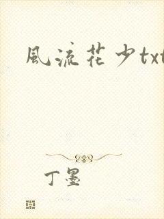 风流花少txt