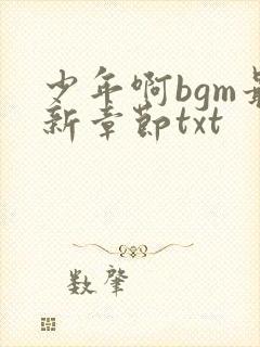 少年啊bgm最新章节txt封面