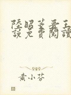 陆昭菱晋王的小说免费阅读