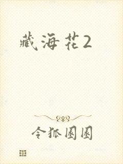 藏海花2