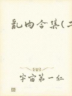 乱肉合集(二)封面