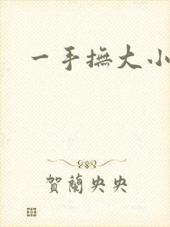 一手抚大小说