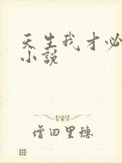 天生我才必有用小说