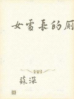女处长的厕奴封面