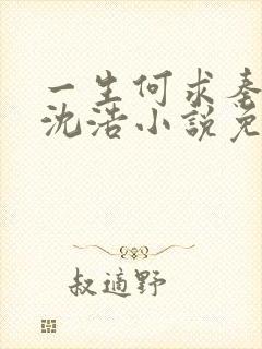 一生何求秦菲雪沈浩小说免费阅读全文