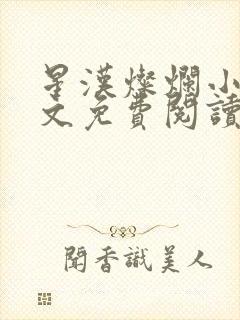 星汉灿烂小说全文免费阅读封面