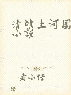 清明上河图密码小说