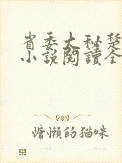 省委大秘楚东恒小说阅读全文