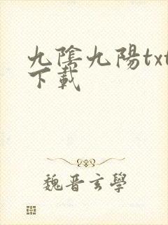 九阴九阳txt下载