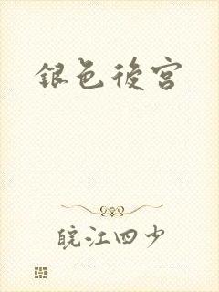 银色后宫