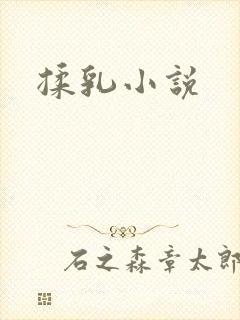 揉乳小说