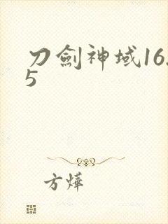 刀剑神域16.5