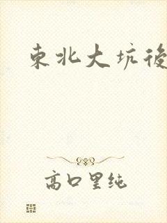 东北大坑后续2封面