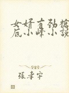 女婿有劲枪枪到底小峰小说