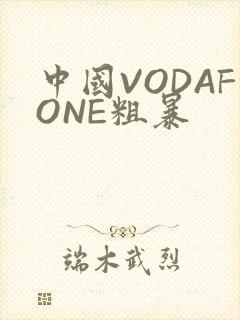 中国VODAFONE粗暴