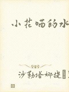 小花喵的水蜜桃封面