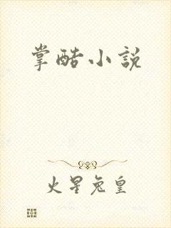 掌酷小说