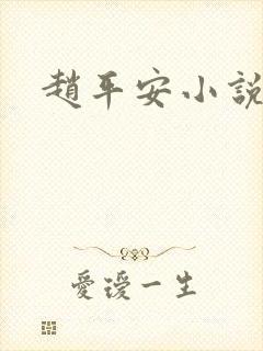 赵平安小说主角