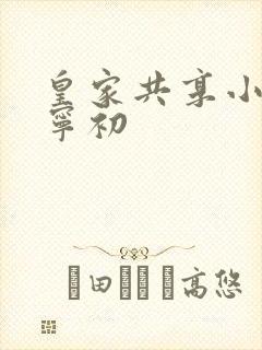 皇家共享小公主宁初