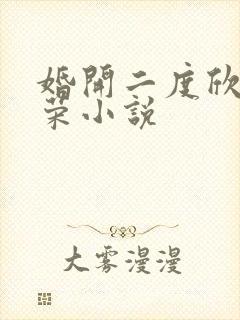 婚开二度欣欣向荣小说封面