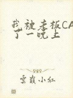 我被老板CAO了一晚上