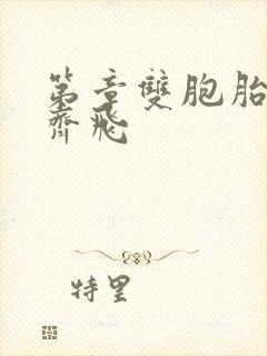 第章双胞胎姐妹齐飞