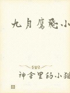 九月鹰飞小说封面