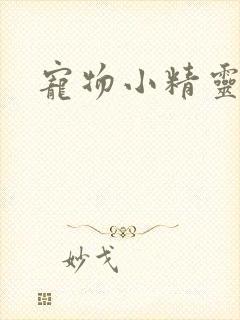 宠物小精灵漫画