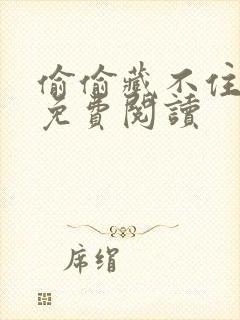 偷偷藏不住小说免费阅读封面